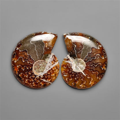 Ammonite Fossil Pair with Suture Pattern