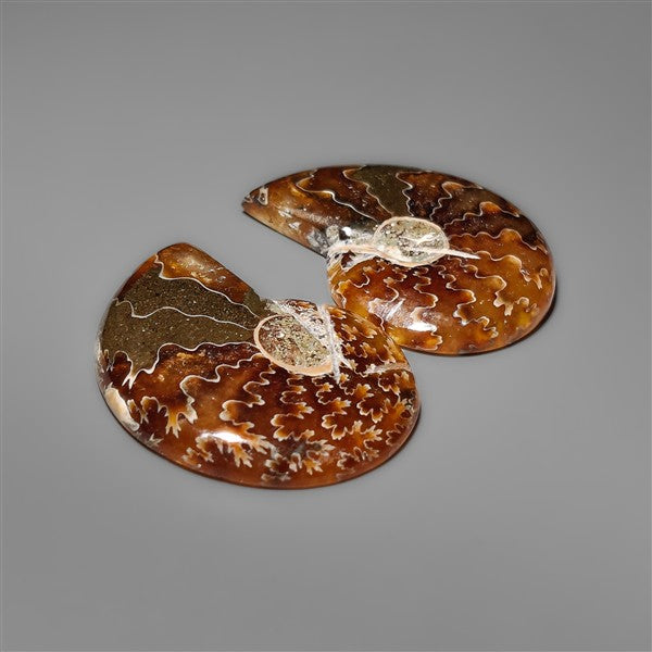 Ammonite Fossil Pair with Suture Pattern
