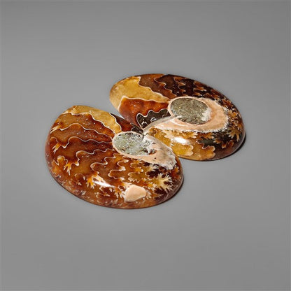 Ammonite Fossil Pair with Suture Pattern