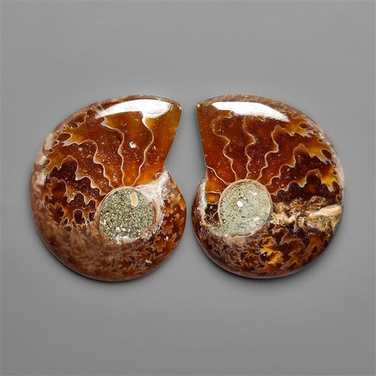 Ammonite Fossil Pair with Suture Pattern