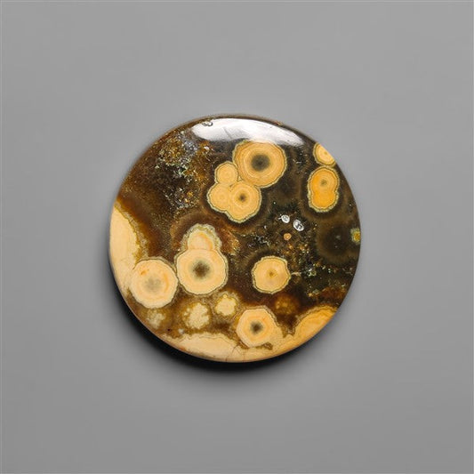 Orbicular Ocean Jasper Cabochon