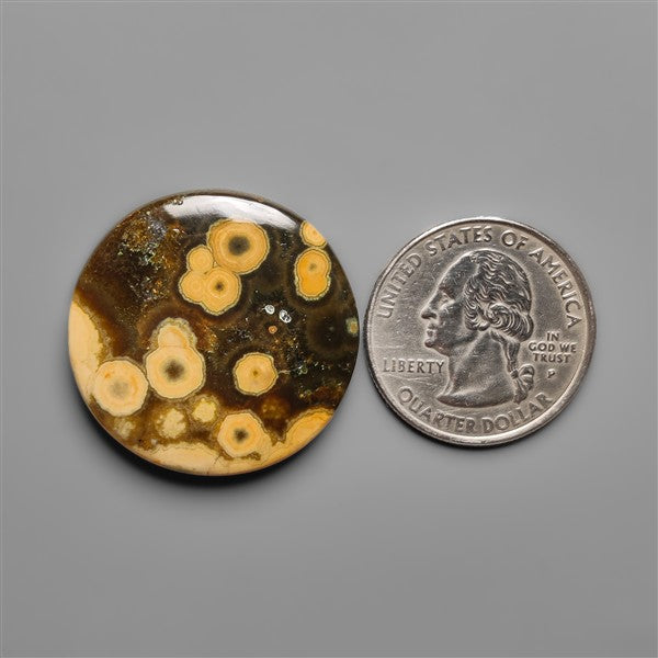 Orbicular Ocean Jasper Cabochon