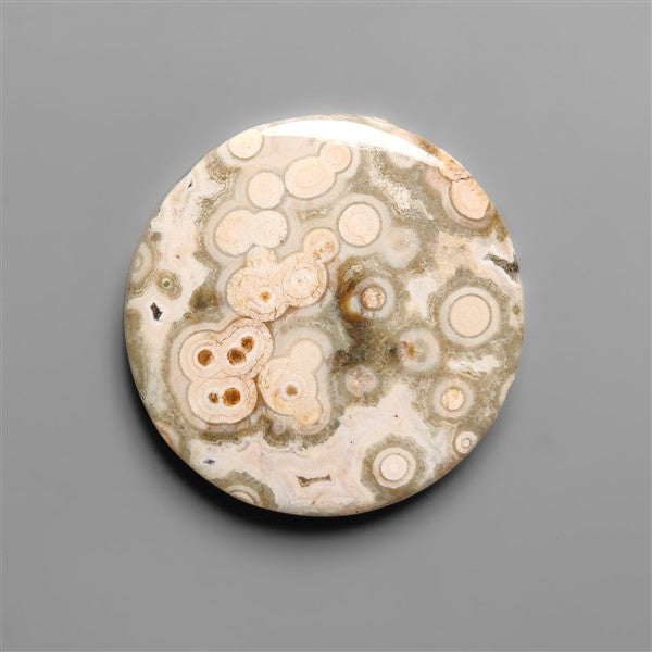 Orbicular Ocean Jasper Cabochon