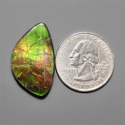 AAA Ammolite