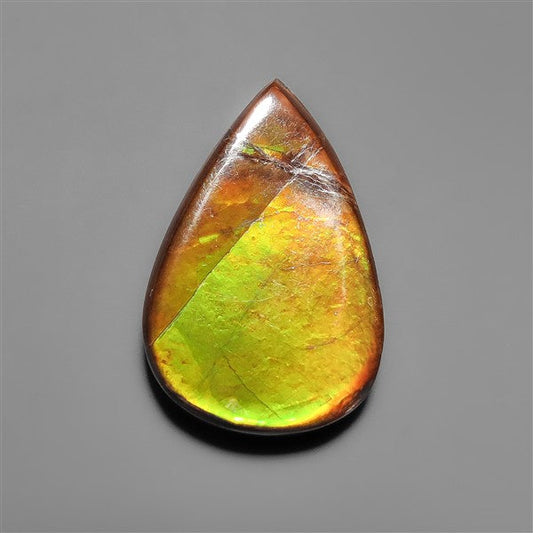 AAA Ammolite