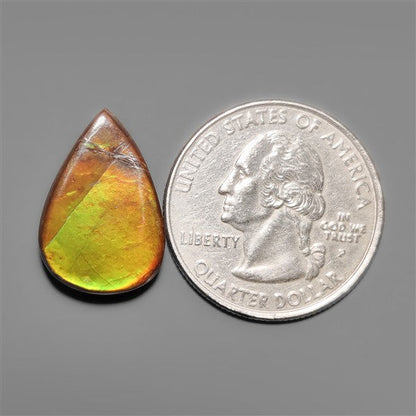 AAA Ammolite
