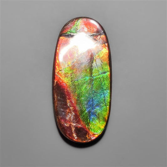 AAA Ammolite
