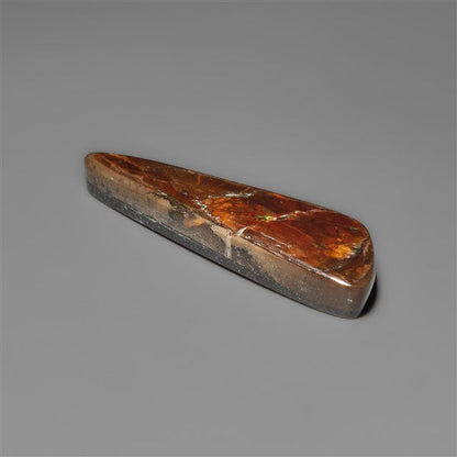 AAA Ammolite