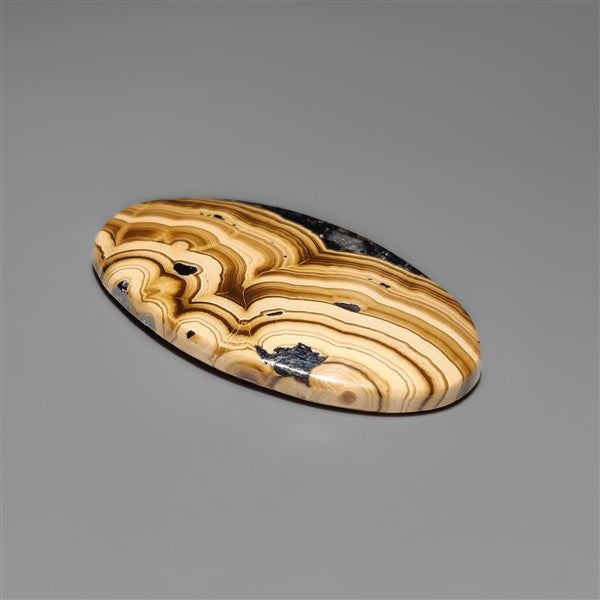 Schalenblende Cabochon Selected Patterns