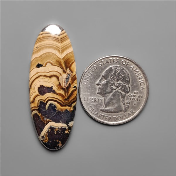 Schalenblende Cabochon Selected Patterns
