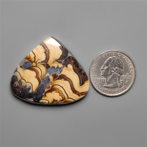 Schalenblende Cabochon Selected Patterns