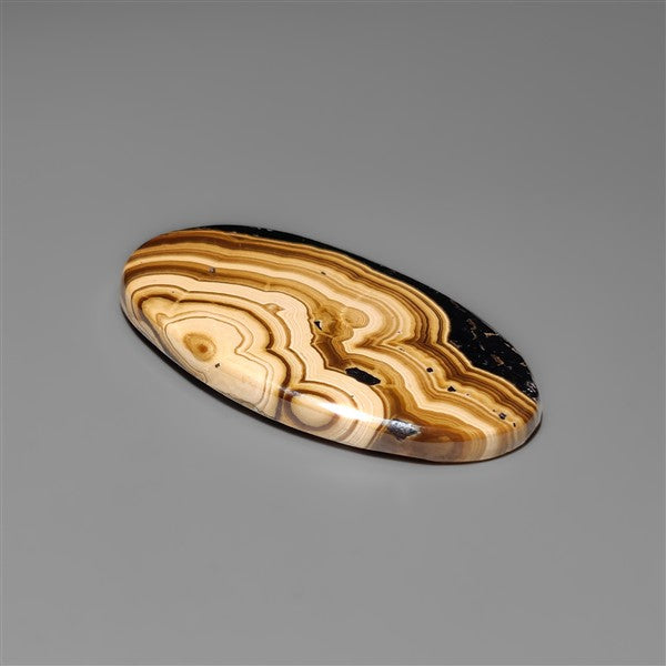 Schalenblende Cabochon Selected Patterns