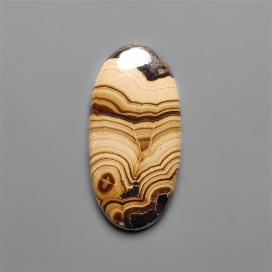 Schalenblende Cabochon Selected Patterns