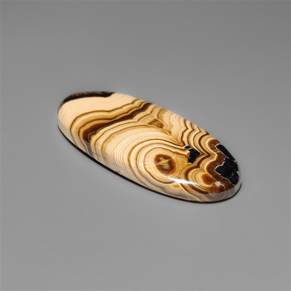 Schalenblende Cabochon Selected Patterns