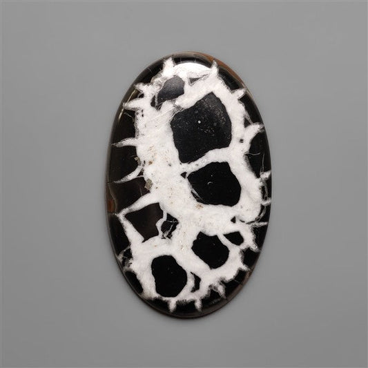 Black Septarian Fossil