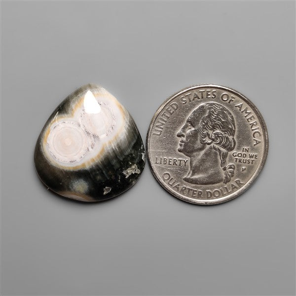 Orbicular Ocean Jasper Cabochon