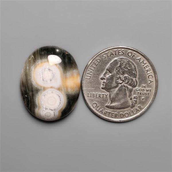 Orbicular Ocean Jasper Cabochon