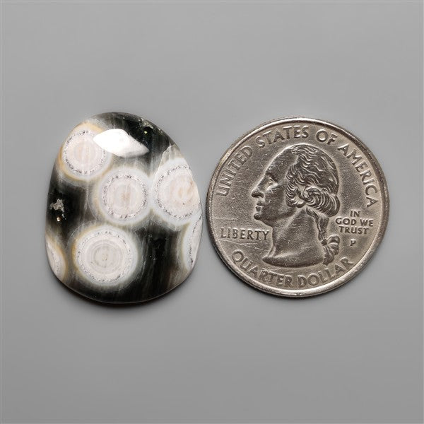 Orbicular Ocean Jasper Cabochon