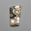 Orbicular Ocean Jasper Cabochon