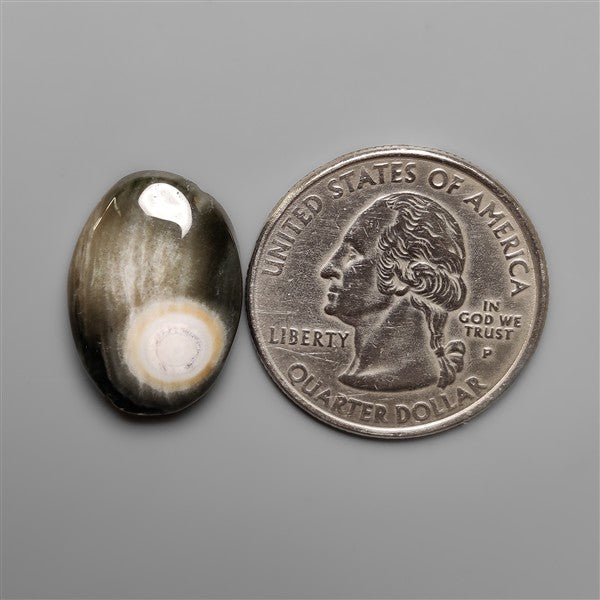 Orbicular Ocean Jasper Cabochon