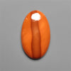 Bruneau Jasper Cabochon