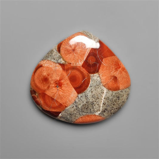 Peanut Wood Obsidian Cabochon