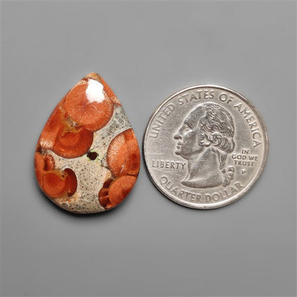 Peanut Wood Obsidian Cabochon