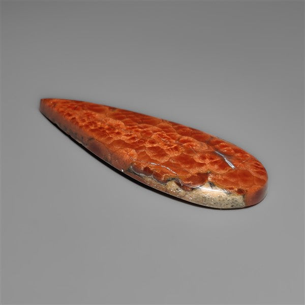 Peanut Wood Obsidian Cabochon