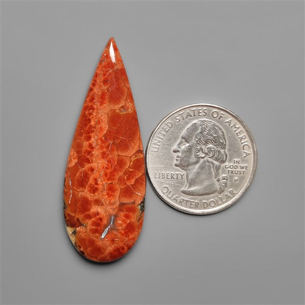 Peanut Wood Obsidian Cabochon