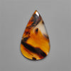 Montana Agate Cabochon
