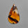 Montana Agate Cabochon