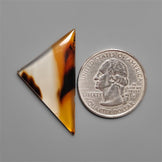 Montana Agate Cabochon