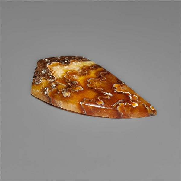 Suture Ammonite Fossil Cabochon