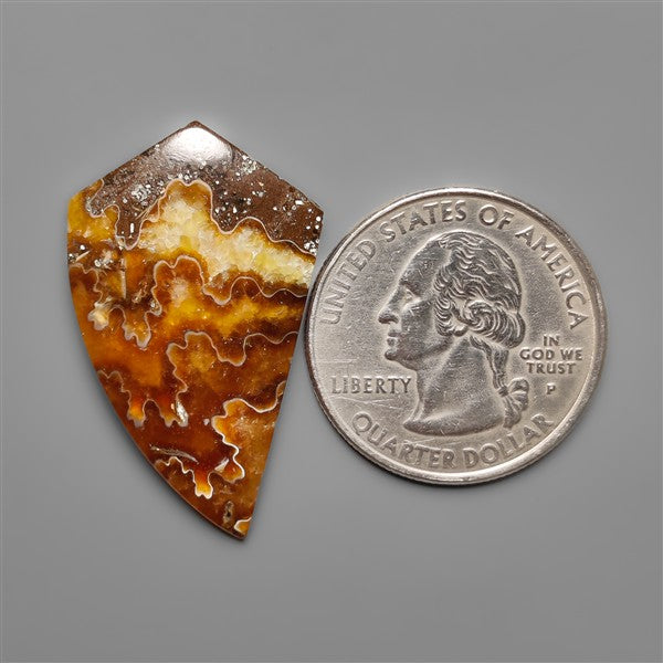 Suture Ammonite Fossil Cabochon