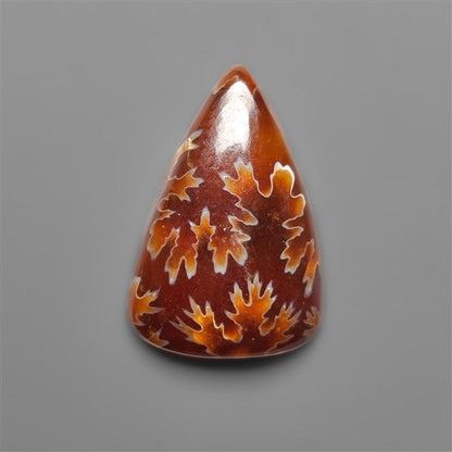 Suture Ammonite Fossil Cabochon