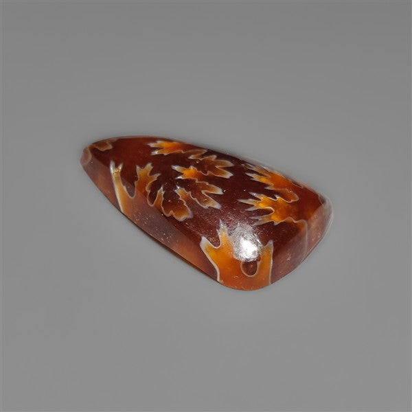 Suture Ammonite Fossil Cabochon