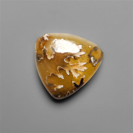 Suture Ammonite Fossil Cabochon