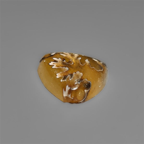Suture Ammonite Fossil Cabochon