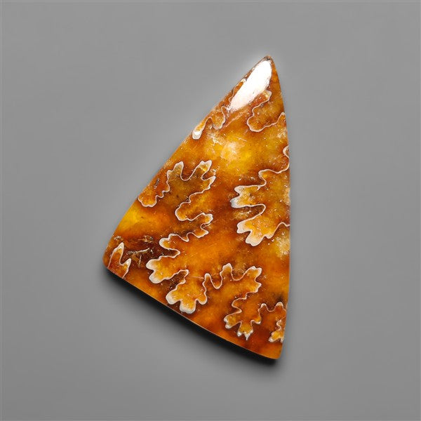 Suture Ammonite Fossil Cabochon