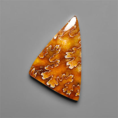 Suture Ammonite Fossil Cabochon