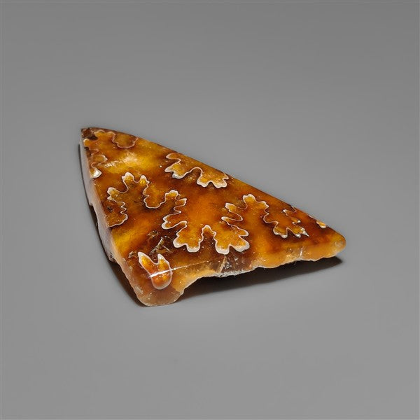 Suture Ammonite Fossil Cabochon