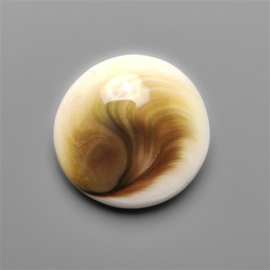 Shiva Eye Shell Cabochon