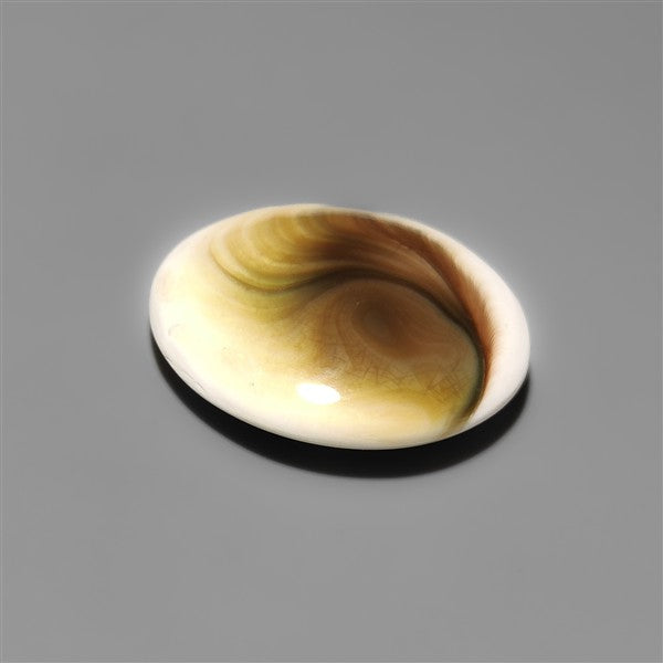 Shiva Eye Shell Cabochon