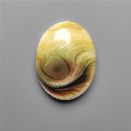 Shiva Eye Shell Cabochon