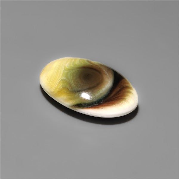 Shiva Eye Shell Cabochon