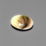 Shiva Eye Shell Cabochon