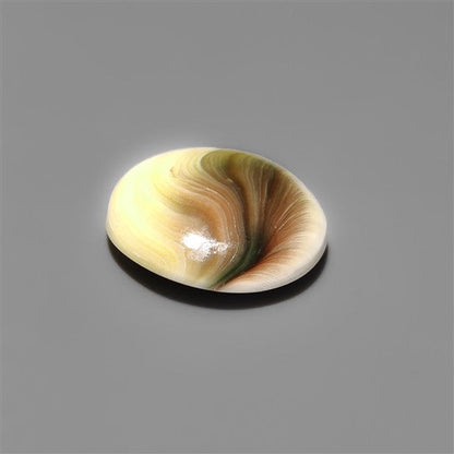 Shiva Eye Shell Cabochon