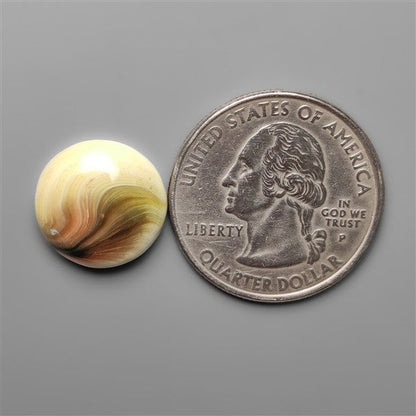 Shiva Eye Shell Cabochon