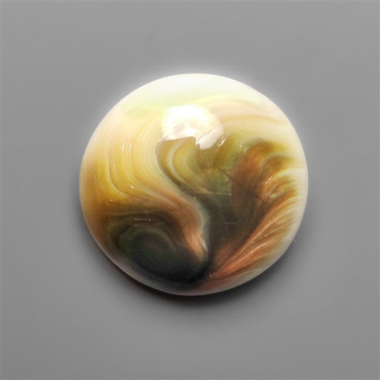 Shiva Eye Shell Cabochon