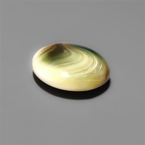 Shiva Eye Shell Cabochon